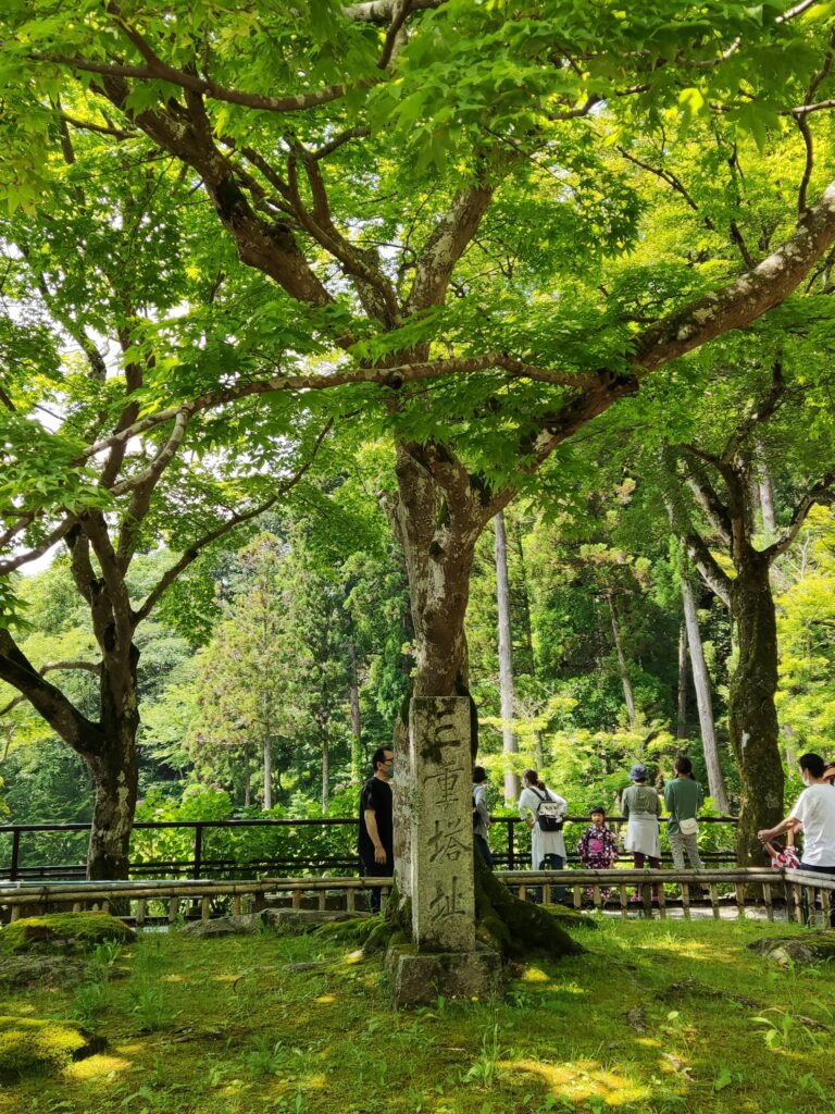 長谷寺三重塔跡