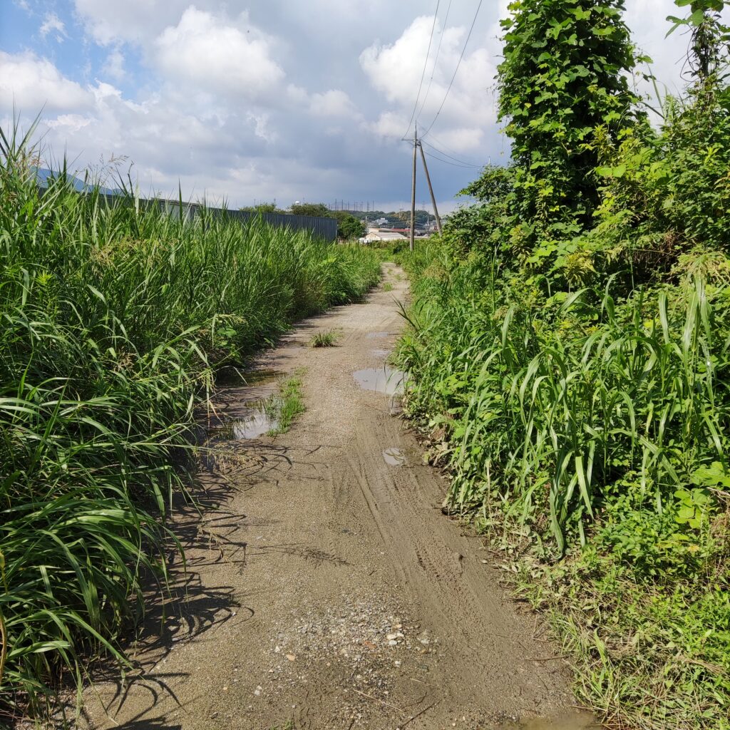 王寺町散歩道