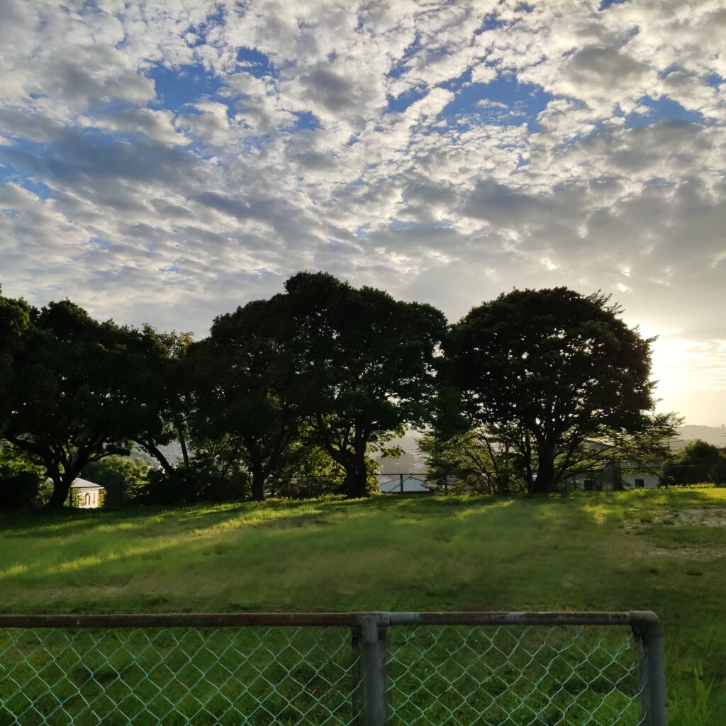 散歩風景