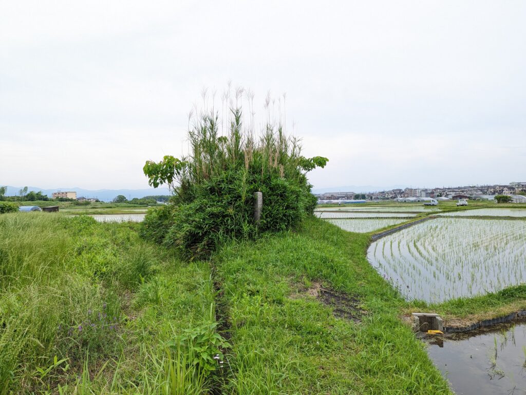 一之矢塚の写真