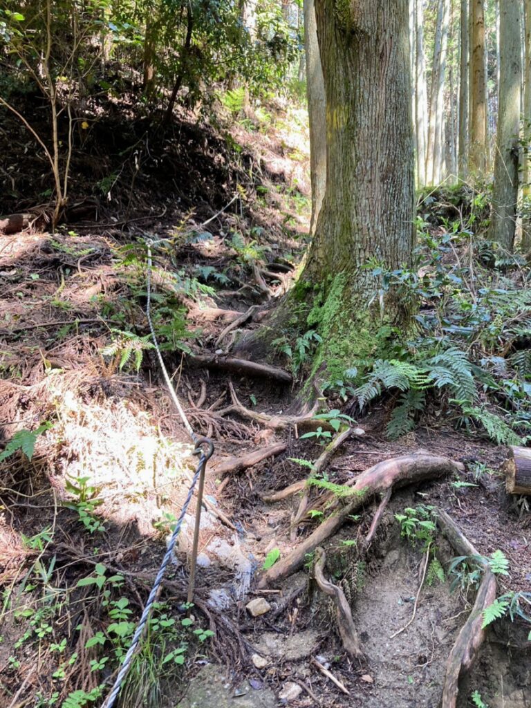 大国見山登山コース