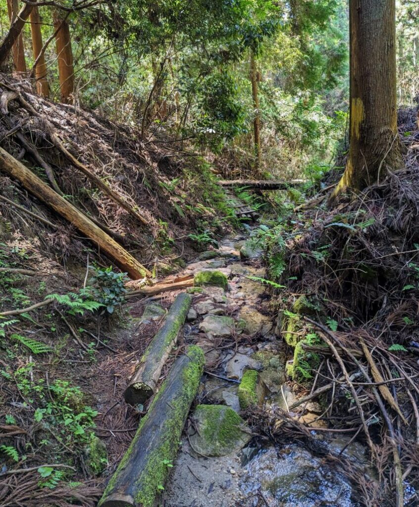 大国見山登山コースの写真